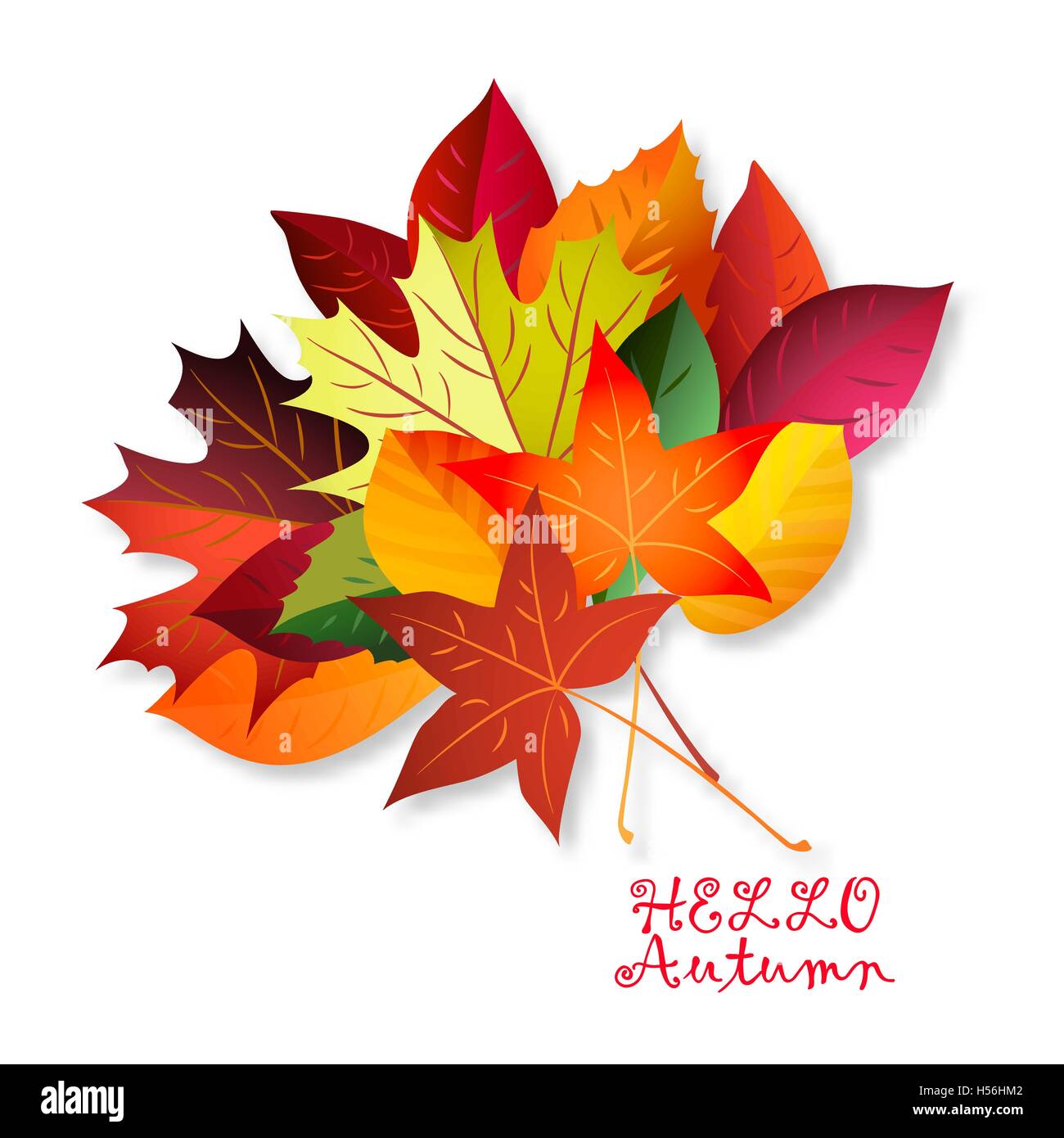 Vector illustration of color autumn leaves on white background Stock ...