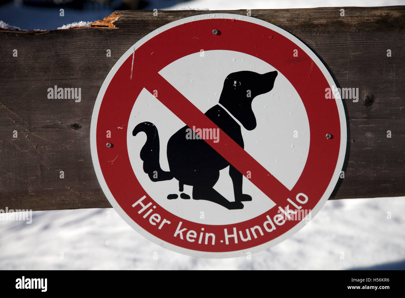 Prohibition sign, Hier kein Hundeklo, German for not a bog's toilet Stock Photo