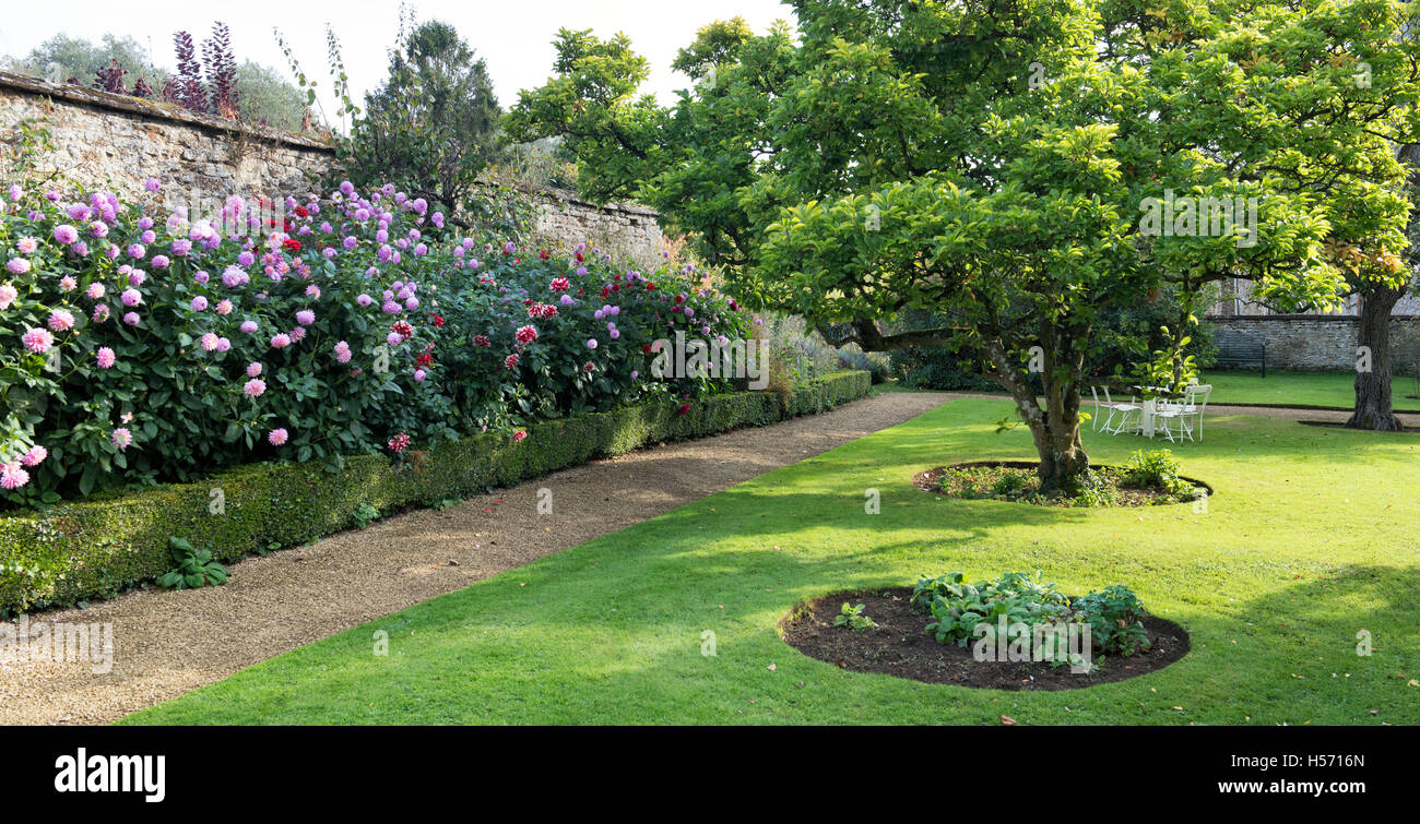 Rousham House and Garden dahlia border in the autumn. Oxfordshire, England Stock Photo