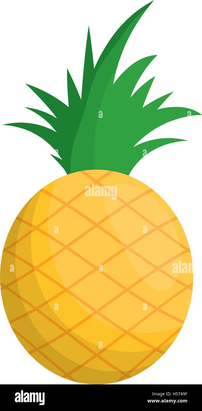 pineapple fresh fruit isolated icon Stock Vector Image & Art - Alamy
