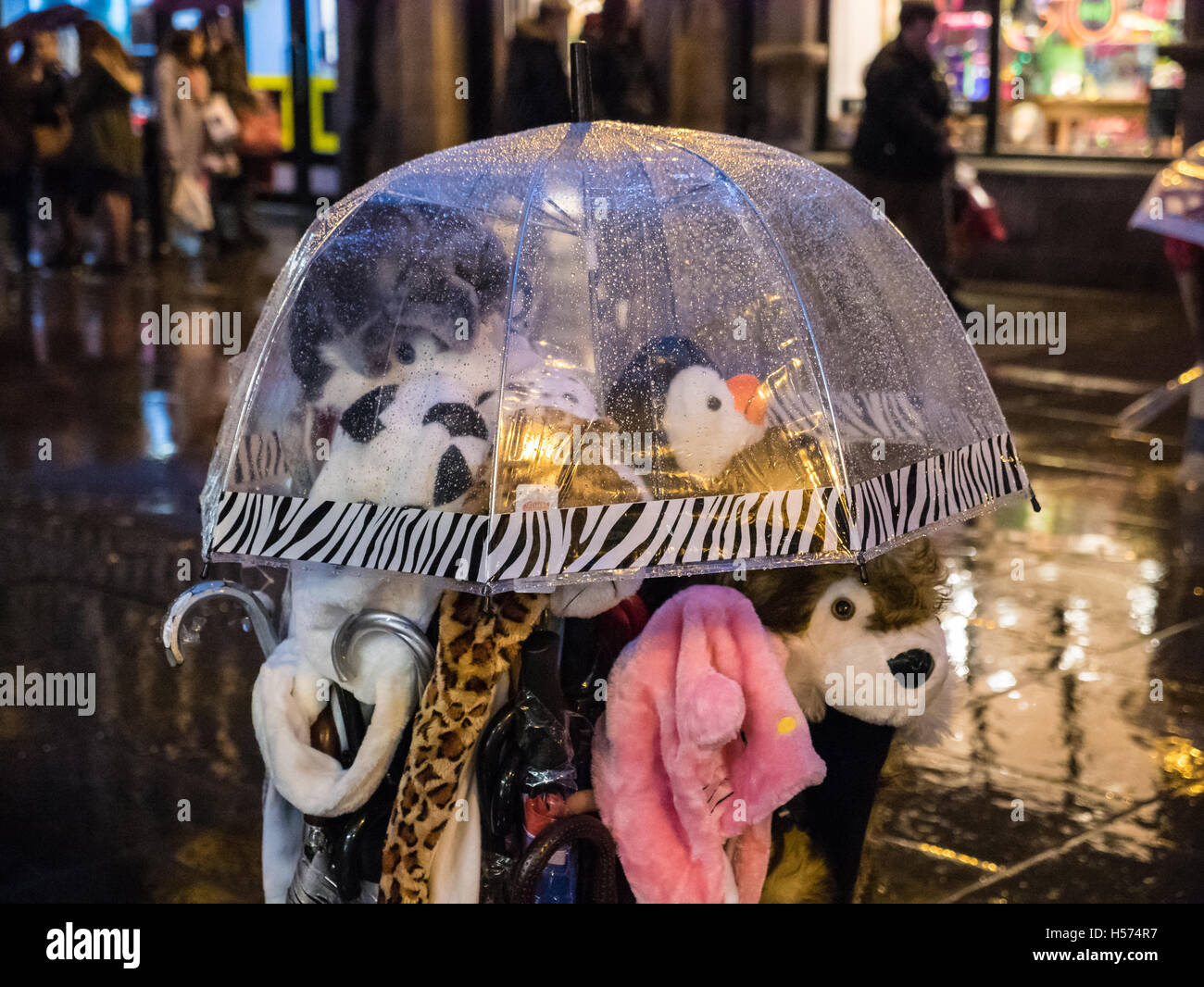 Cuddly toys huddle under umbrella in the rain Stock Photo