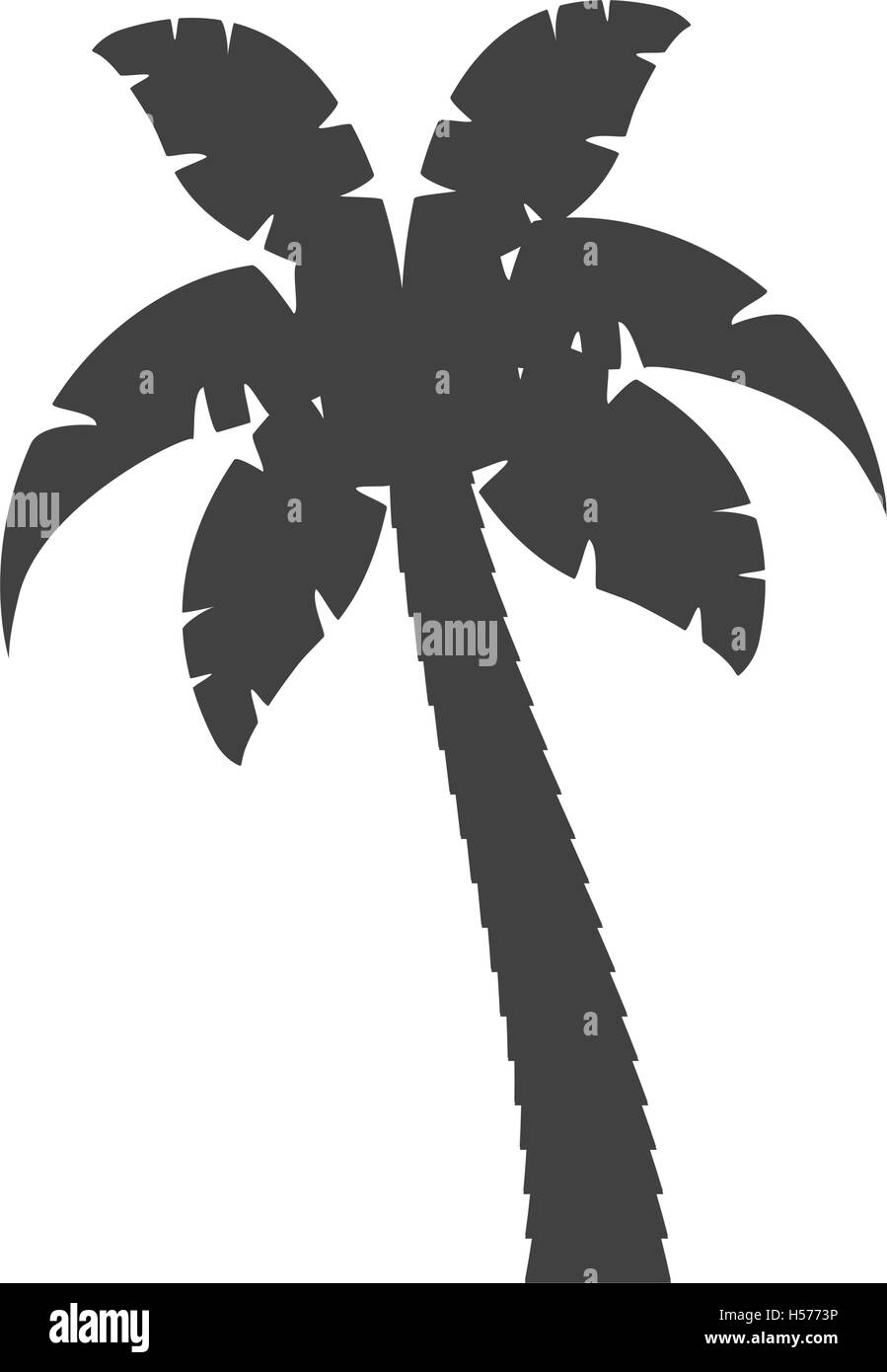 palm tropical tree isolated icon Stock Vector Image & Art - Alamy