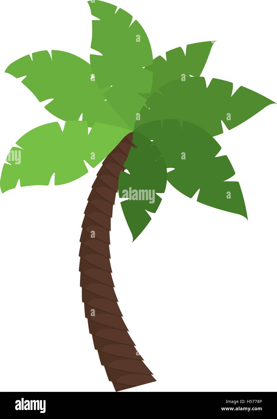 palm tropical tree isolated icon Stock Vector Image & Art - Alamy