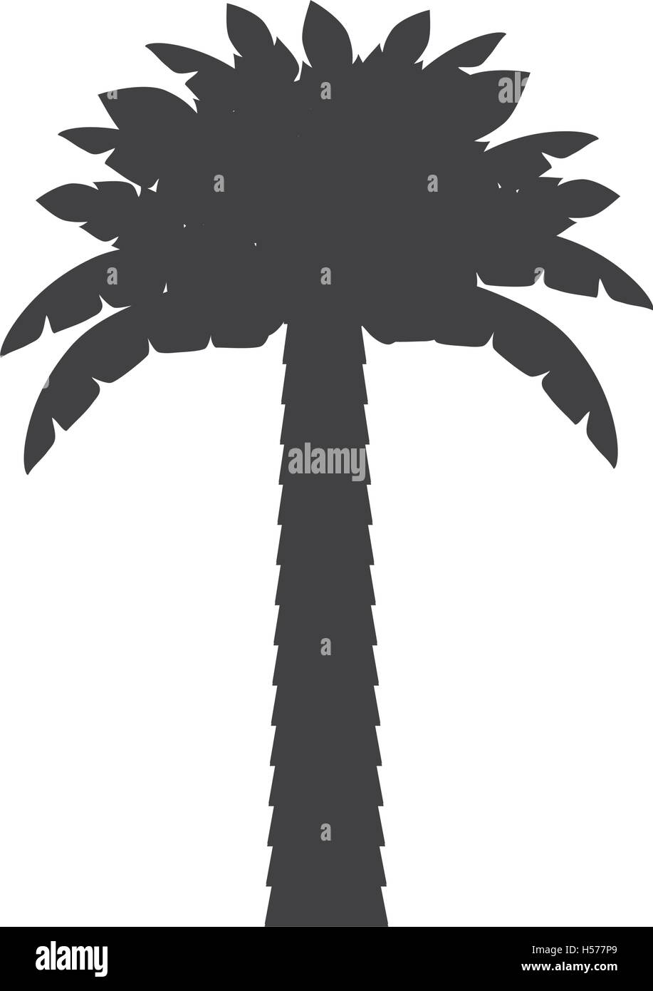 palm tropical tree isolated icon Stock Vector Image & Art - Alamy