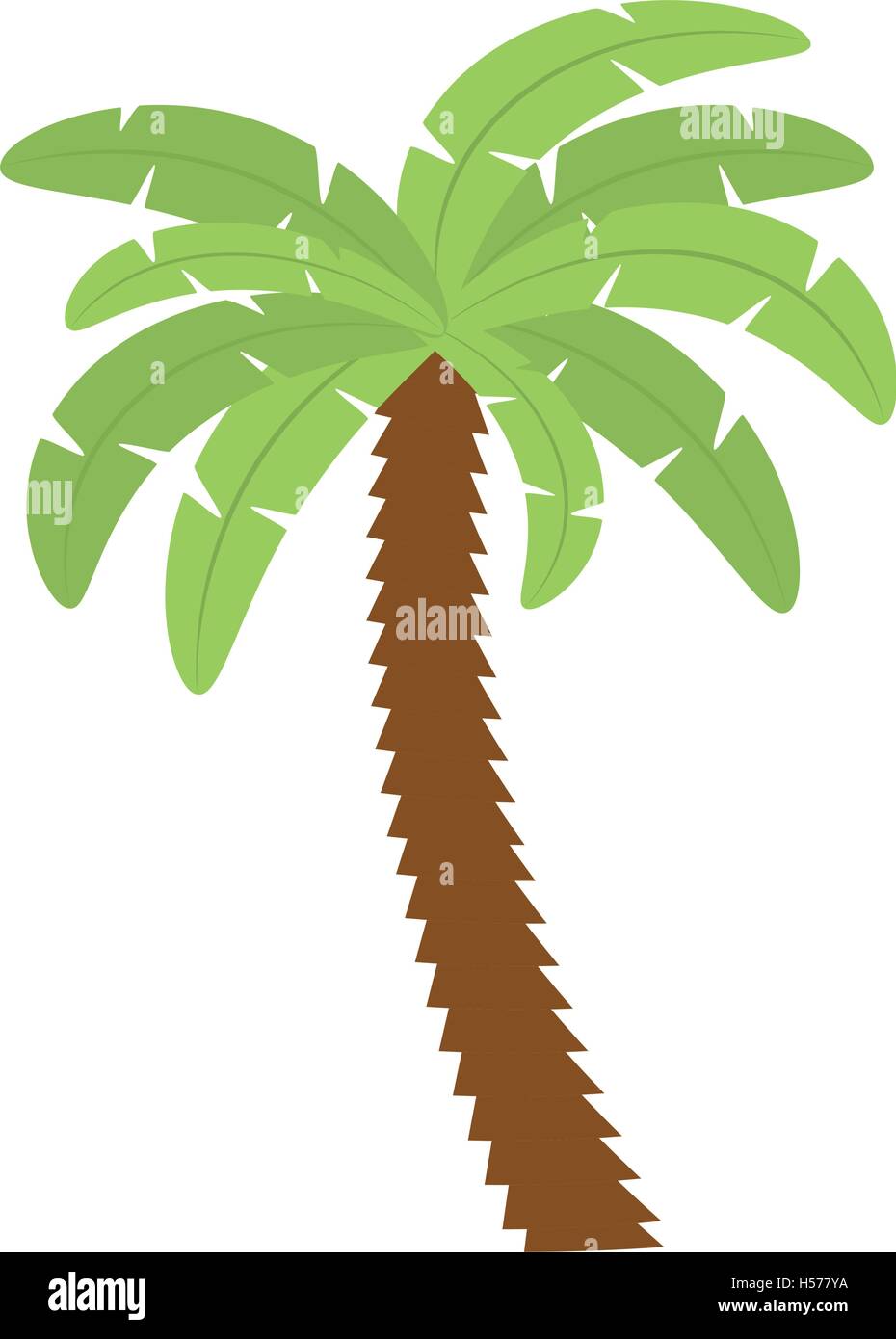 palm tropical tree isolated icon Stock Vector Image & Art - Alamy