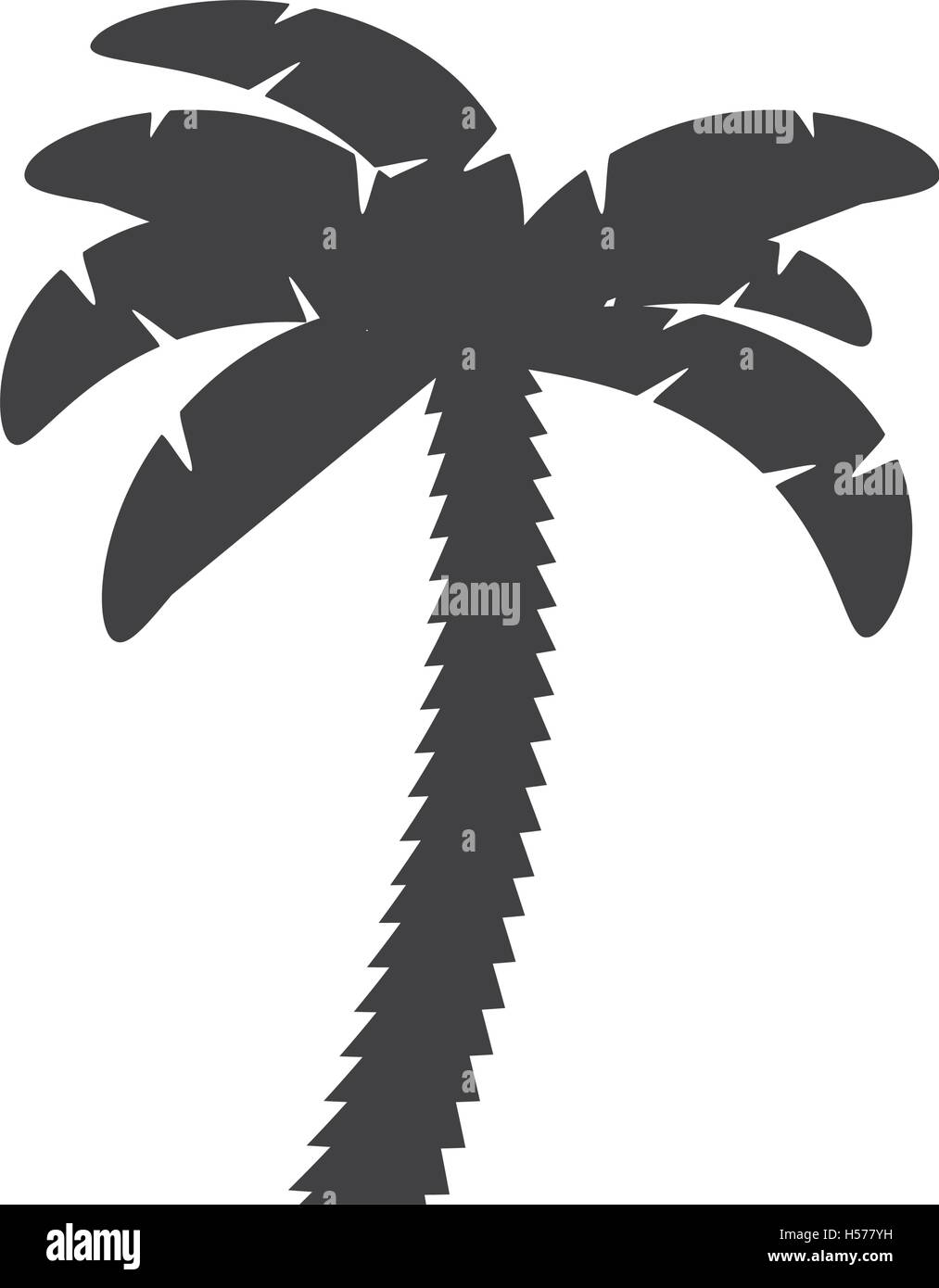 palm tropical tree isolated icon Stock Vector Image & Art - Alamy