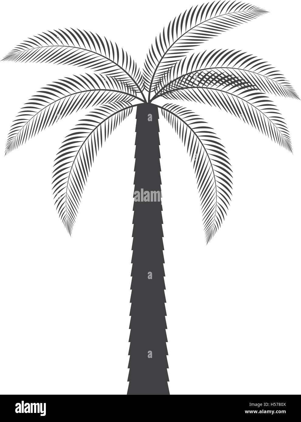 palm tropical tree isolated icon Stock Vector Image & Art - Alamy