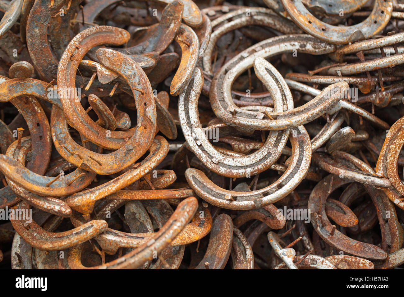 Horseshoes. Pile of used worn metal horseshoes. Outside a blacksmith farriers premises
