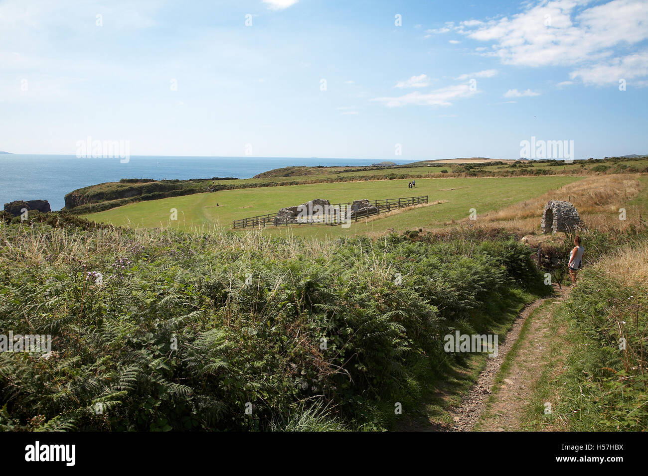 St Nons Chapel in a field on the Pembrokeshire coastal path, between St Davids and Solva, West Wales,UK. Stock Photo