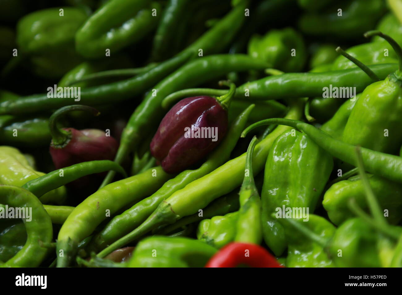 Chilly hires stock photography and images