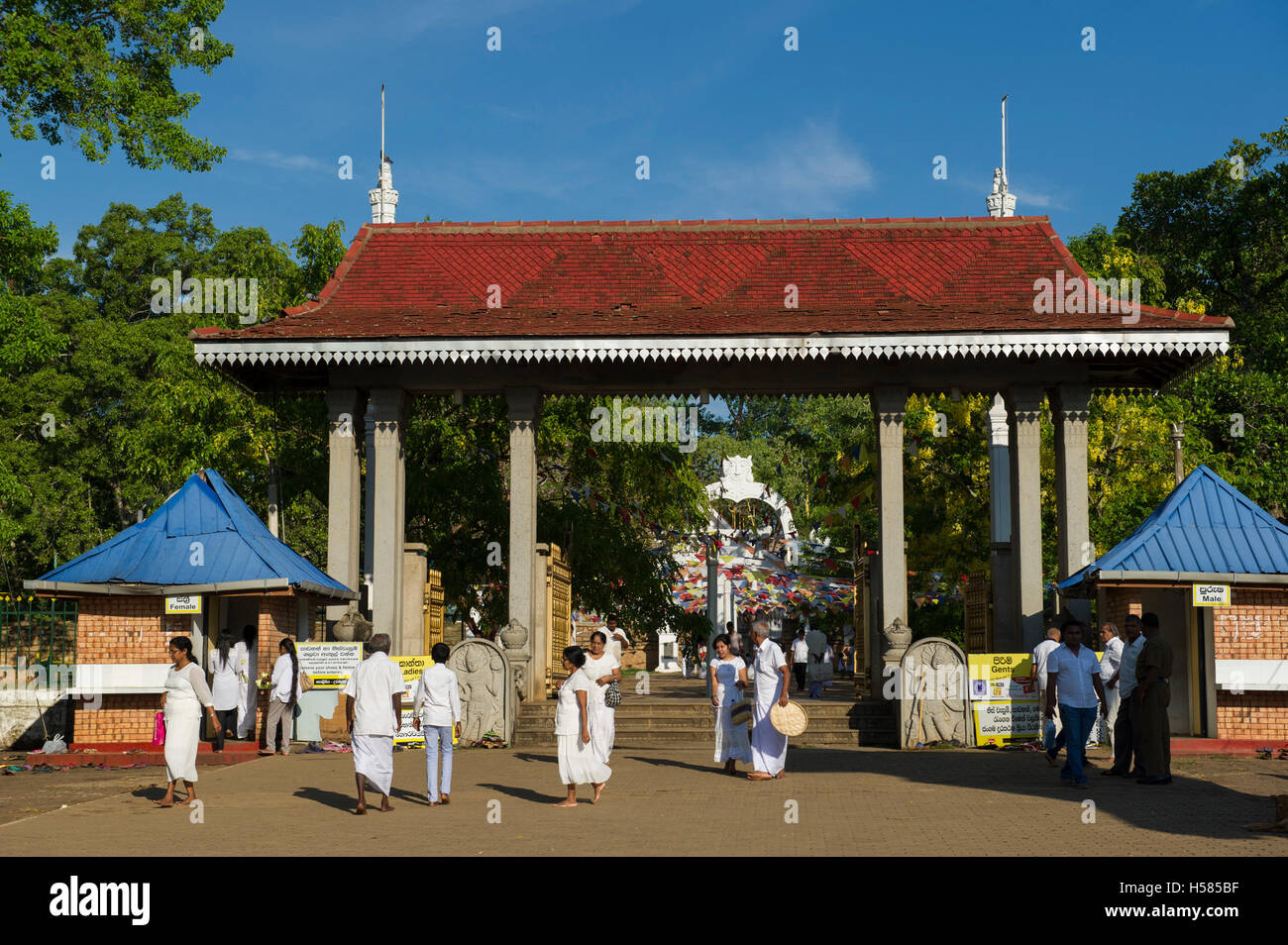 Site of the Bodhi Tree planted in 249 BC, Jaya Sri Maha Bodhi, Mahamewna Gardens, Anuradhapura, Sri Lanka Stock Photo