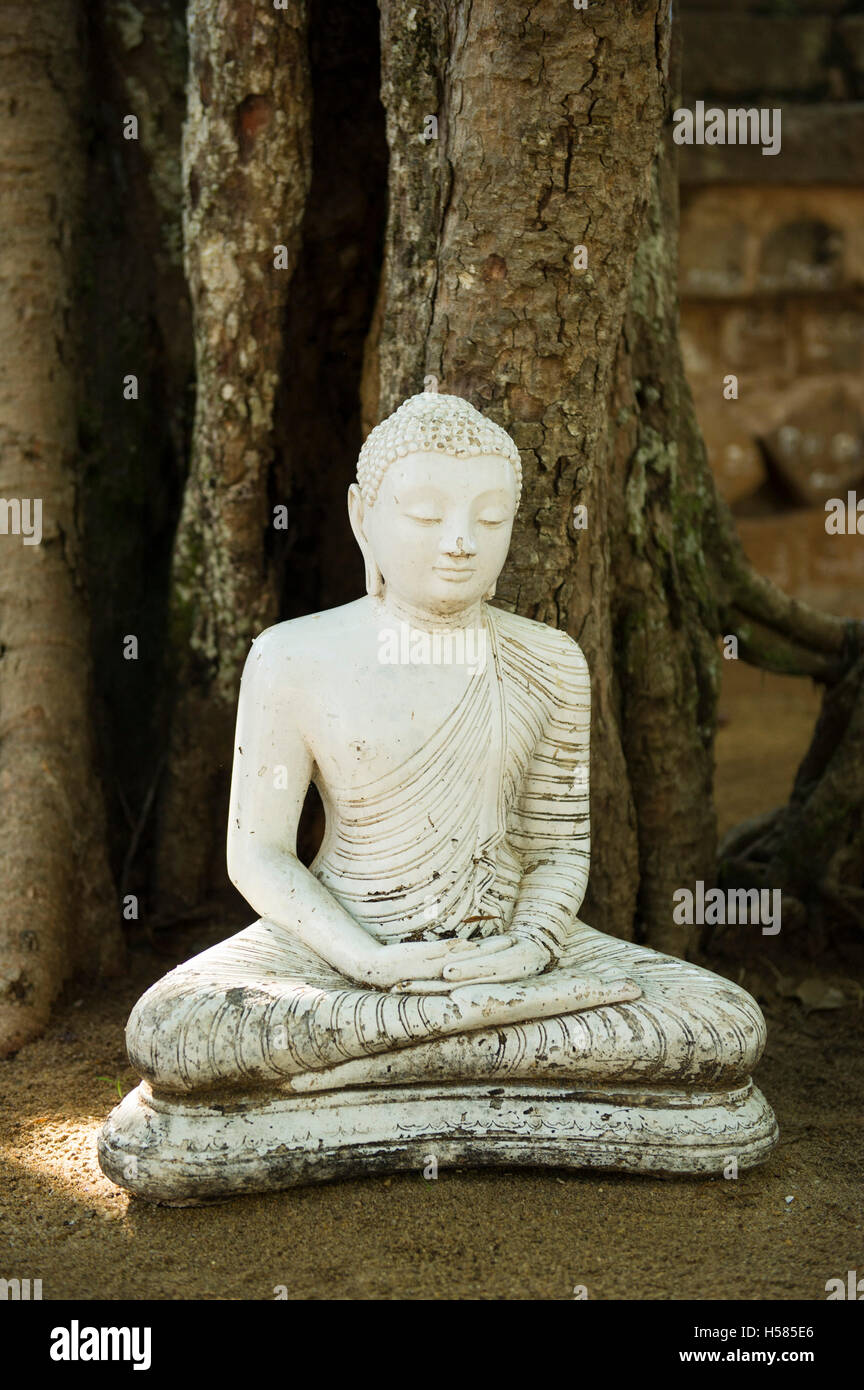 Buddha statue at the site of the Bodhi Tree planted in 249 BC, Jaya Sri Maha Bodhi, Mahamewna Gardens, Anuradhapura, Sri Lanka Stock Photo