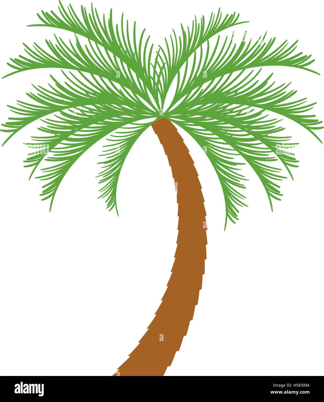 palm tropical tree isolated icon Stock Vector Image & Art - Alamy