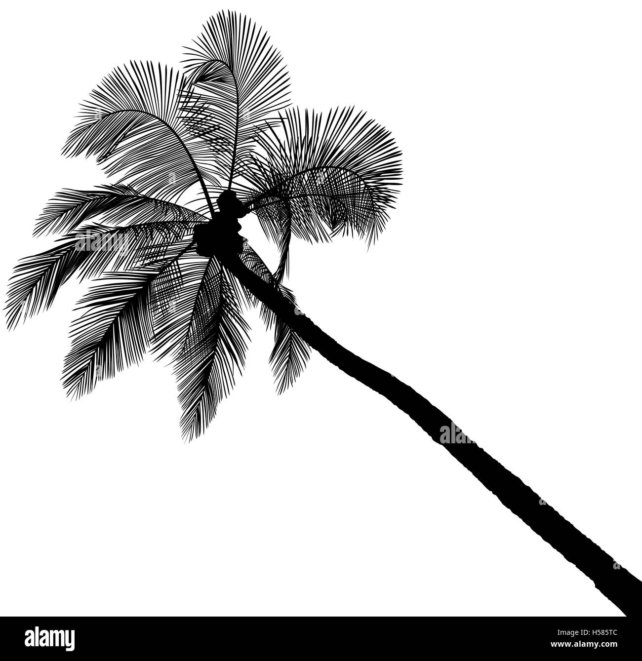 Palm Tree Silhouette Stock Vector