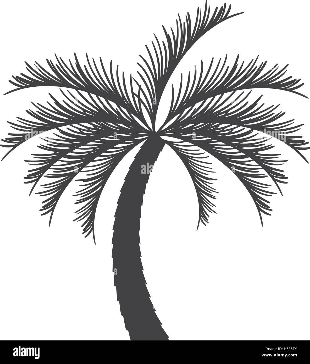 palm tropical tree isolated icon Stock Vector Image & Art - Alamy