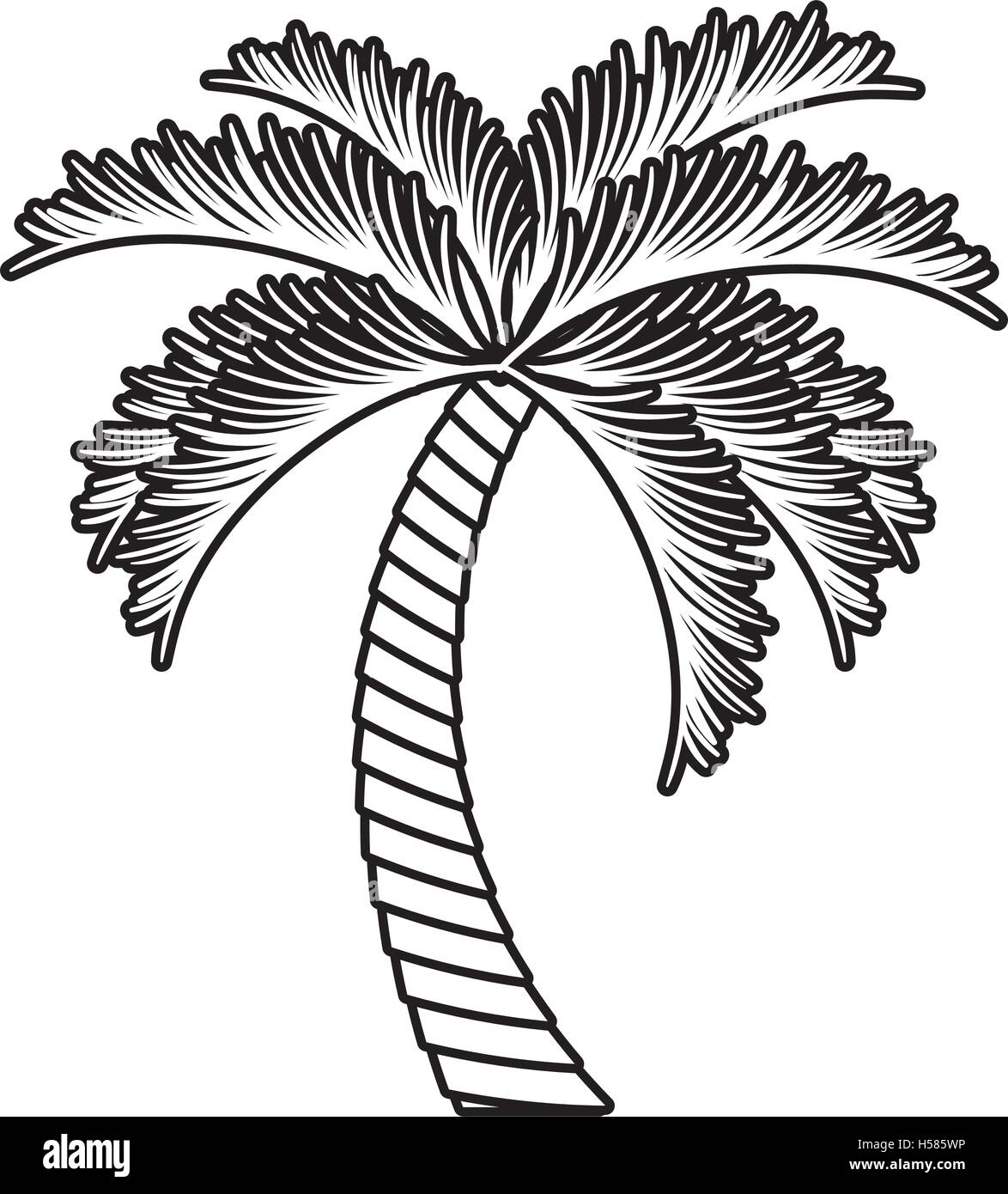 palm tropical tree isolated icon Stock Vector Image & Art - Alamy