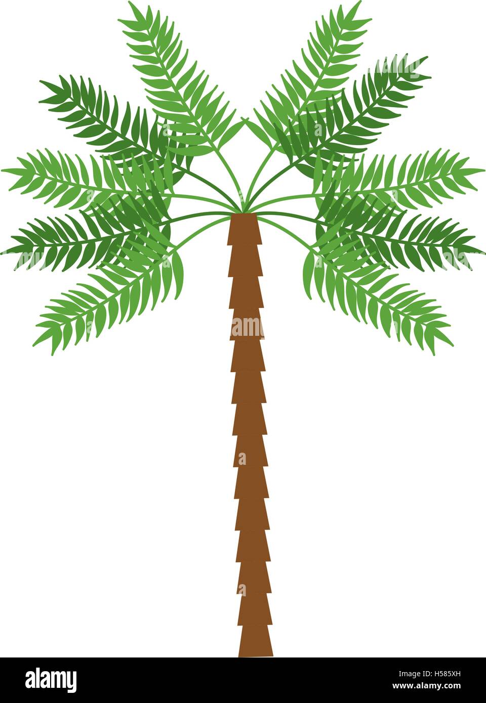 palm tropical tree isolated icon Stock Vector Image & Art - Alamy