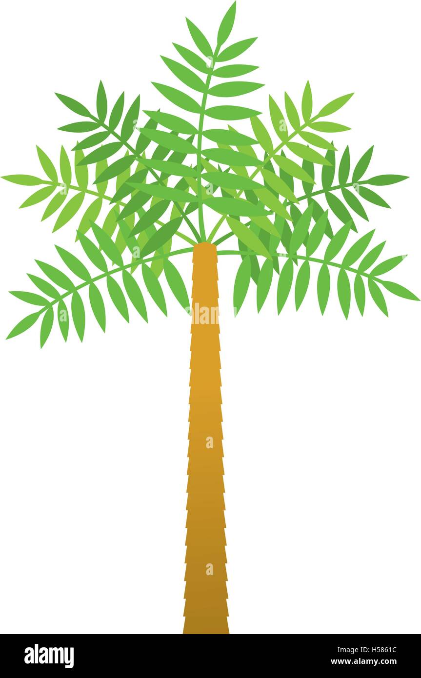 palm tropical tree isolated icon Stock Vector Image & Art - Alamy