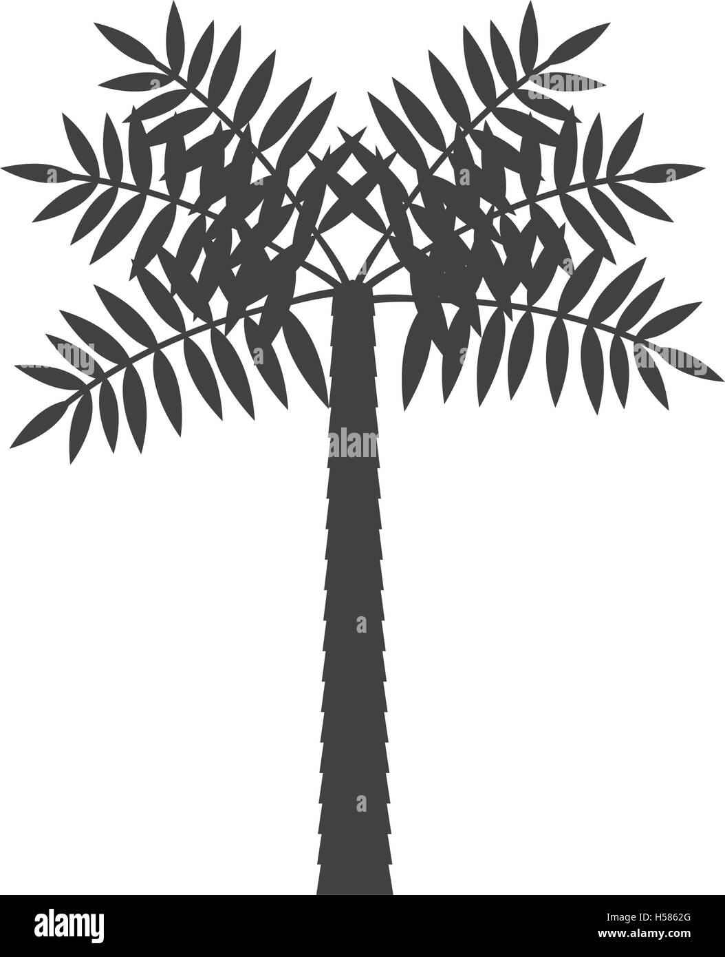 palm tropical tree isolated icon Stock Vector Image & Art - Alamy
