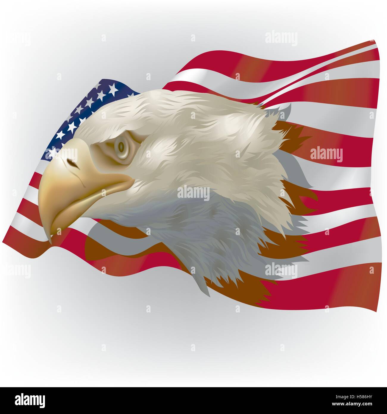 US Flag With Bald Eagle Head Stock Vector