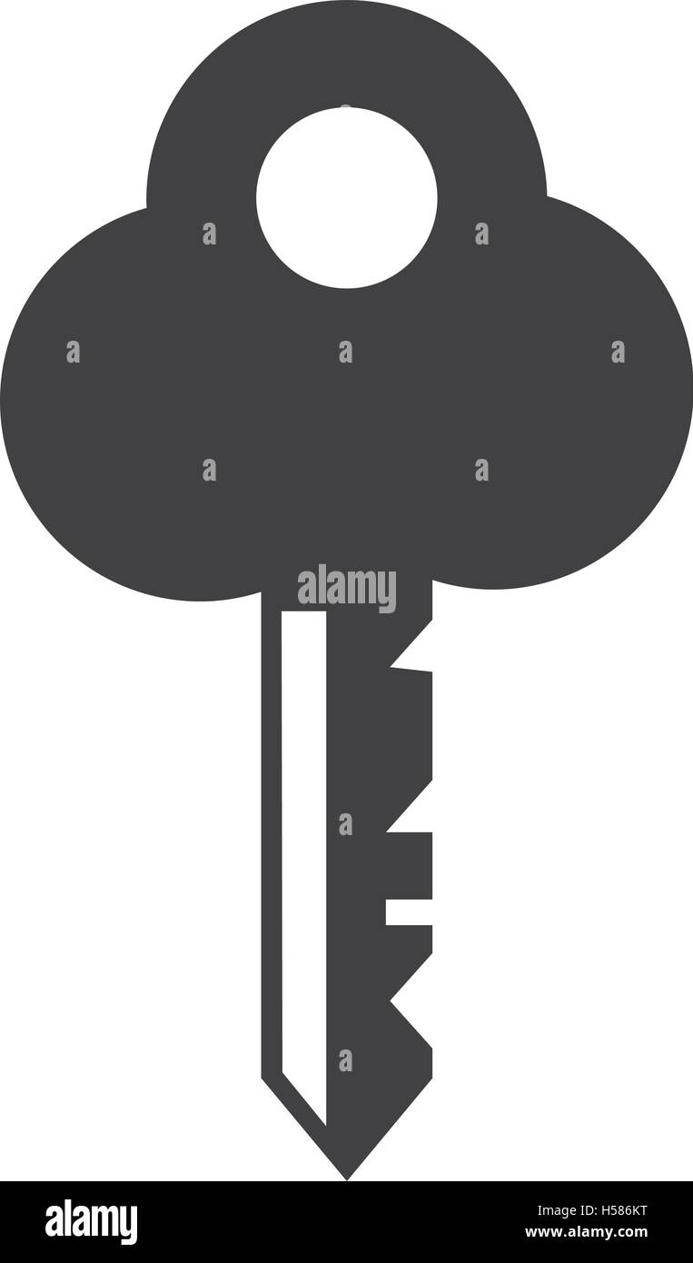 key shape security isolated icon Stock Vector Image & Art - Alamy