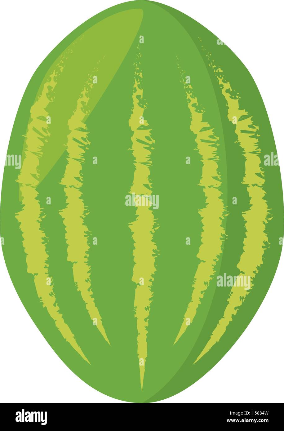 watermelon fresh fruit isolated icon Stock Vector Image & Art - Alamy