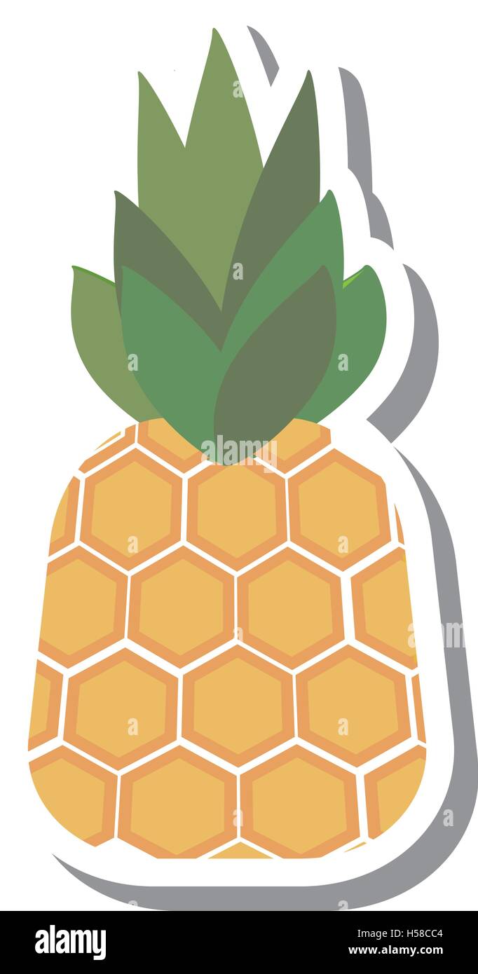 pineapple fresh fruit isolated icon Stock Vector Image & Art - Alamy
