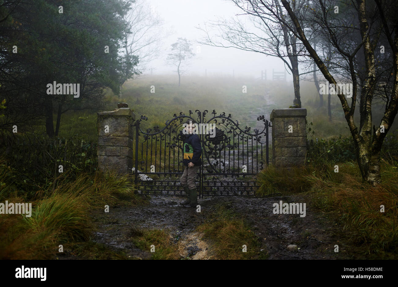 A MONSTER CALLS (2016) LEWIS MACDOUGALL J A BAYONA (DIR) MOVIESTORE ...