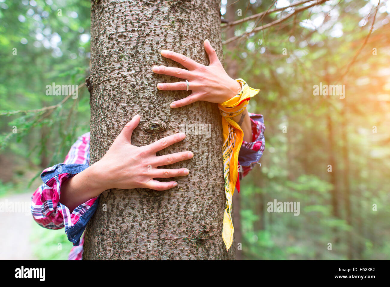 Tree hugging. Woman hugging a tree love nature concept Stock Photo - Alamy