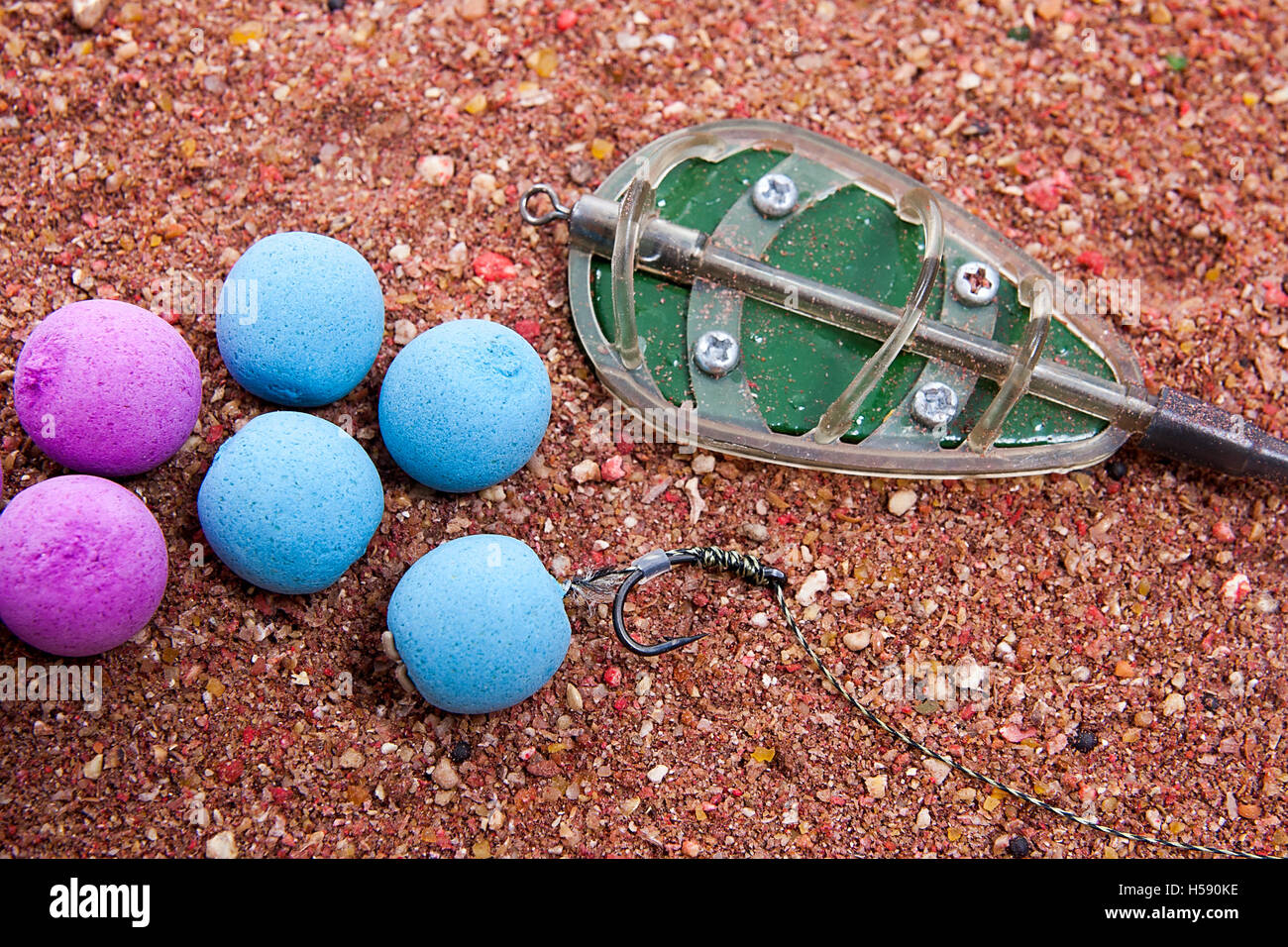 carp fishing supplies