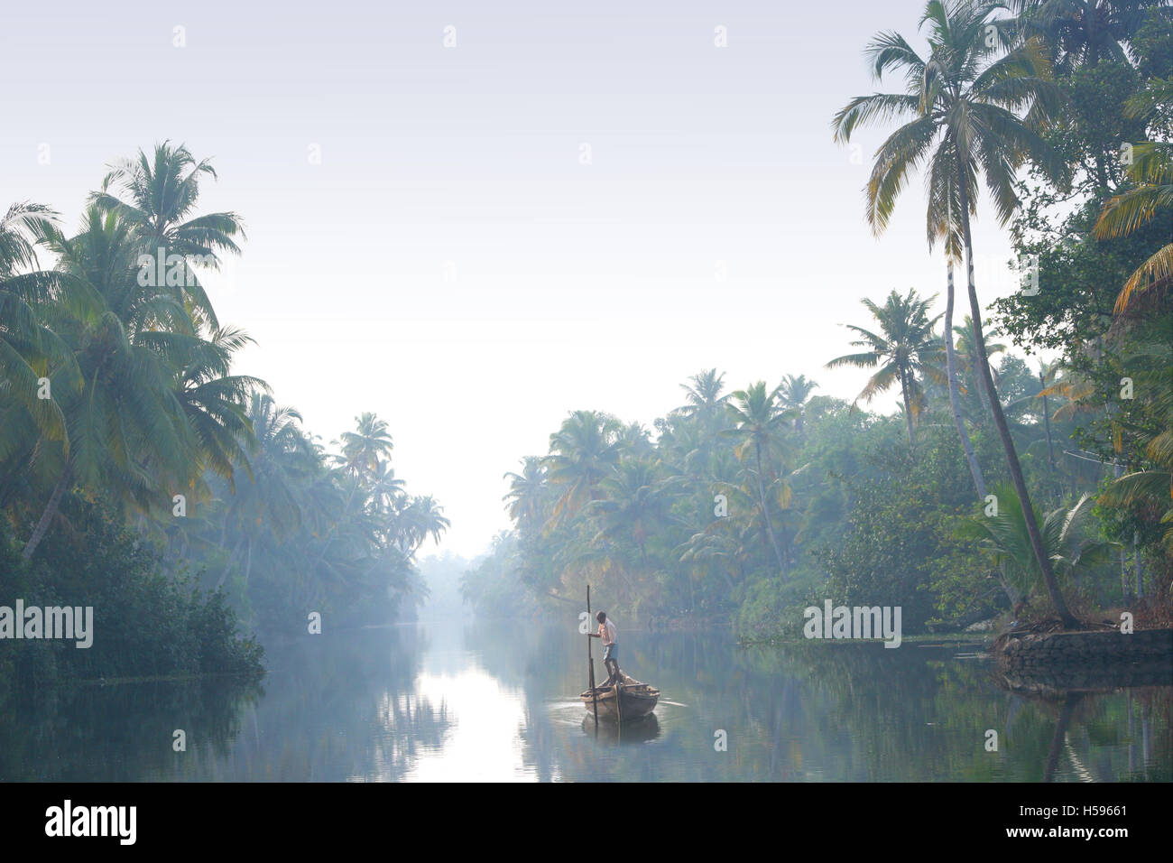 A local fisherman punts his small boat through the Kerala backwaters near Koch in Southern India at Dawn Stock Photo