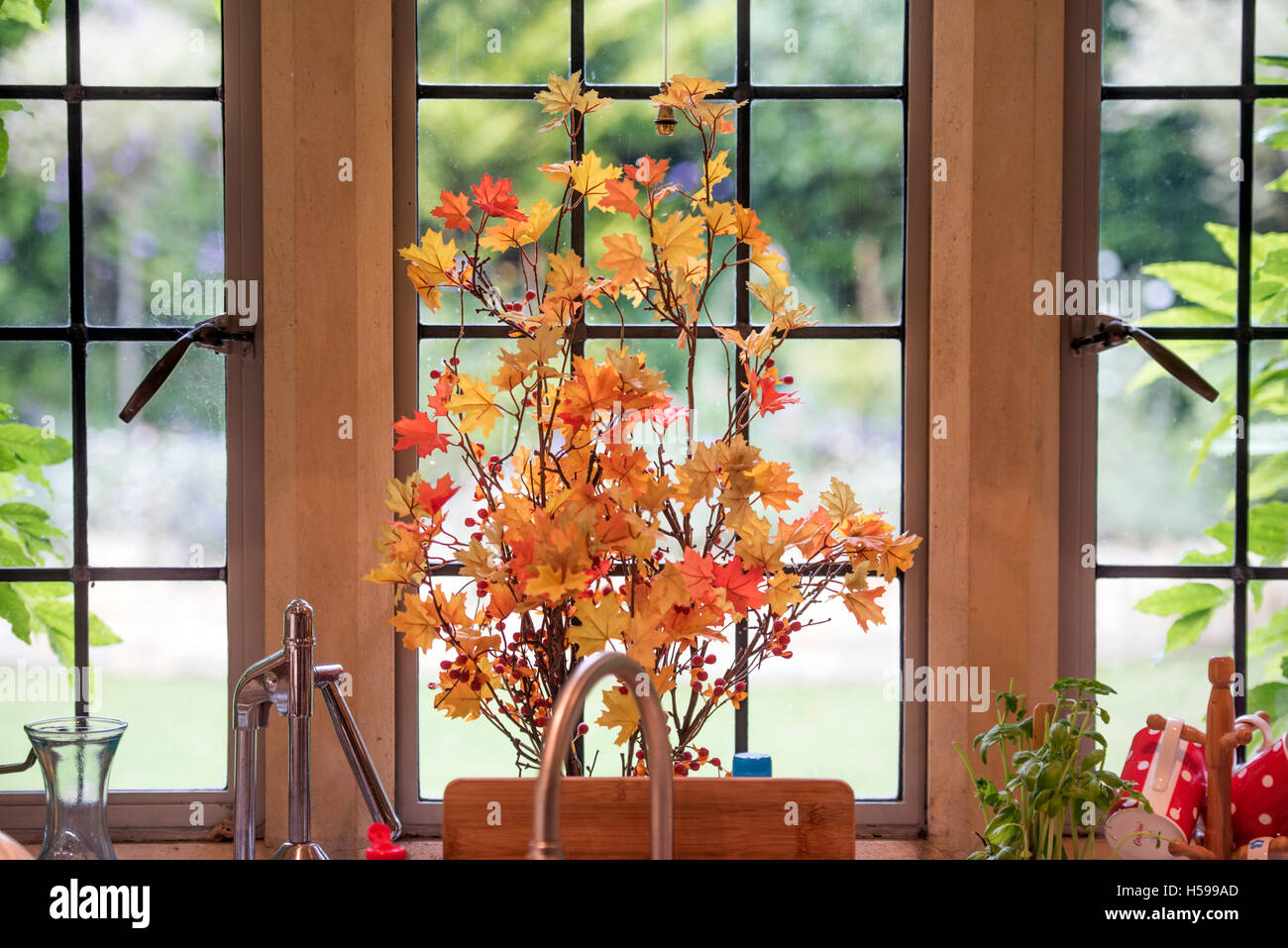 An arrangement of Acer branches and leaves on a cottage kitchen window Stock Photo
