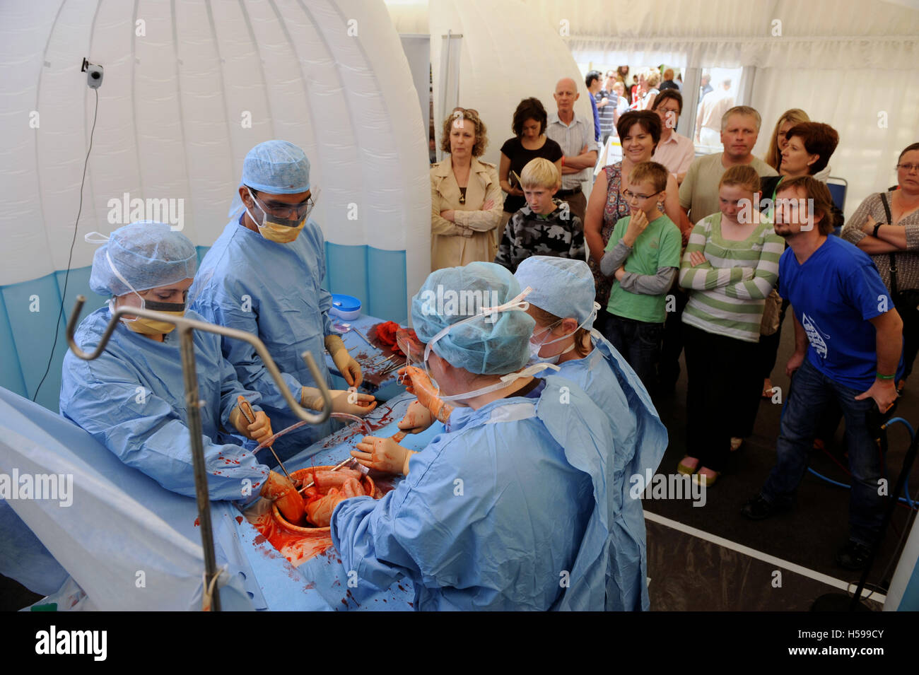 A simulated surgical operation with a film and tv dummy made by the make-up and prosthetics expert Max Campbell as a teaching ai Stock Photo