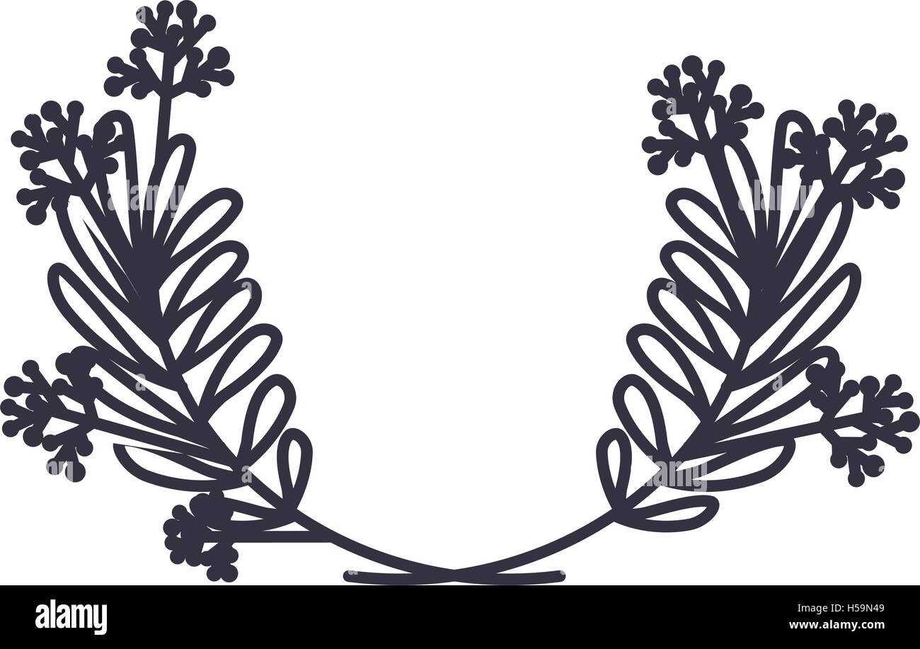 Isolated Leaf plant design Stock Vector Image & Art - Alamy
