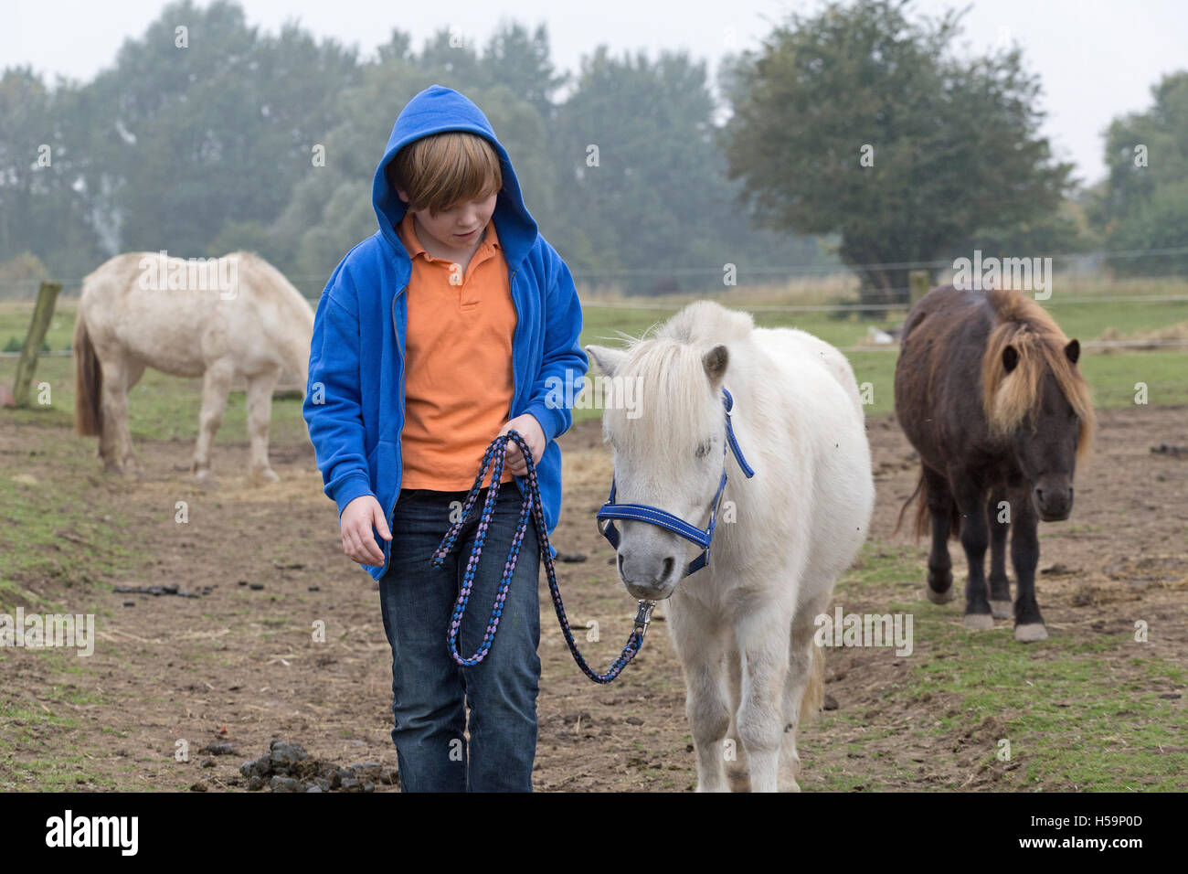 young boy walking his pony Stock Photo