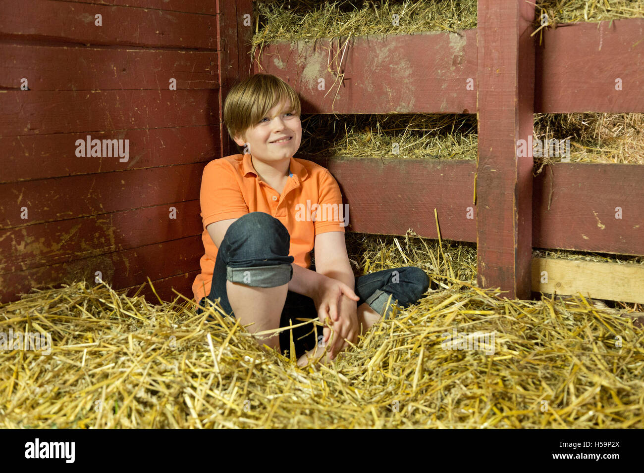 young boy sitting in straw shed, children´s farm Kirchdorf, Hamburg, Germany Stock Photo
