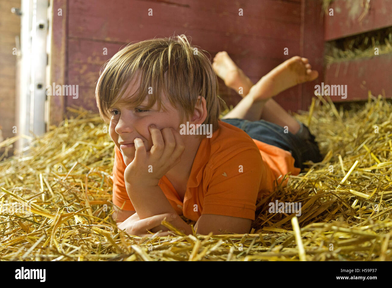 young boy reclining in straw shed, children´s farm Kirchdorf, Hamburg, Germany Stock Photo