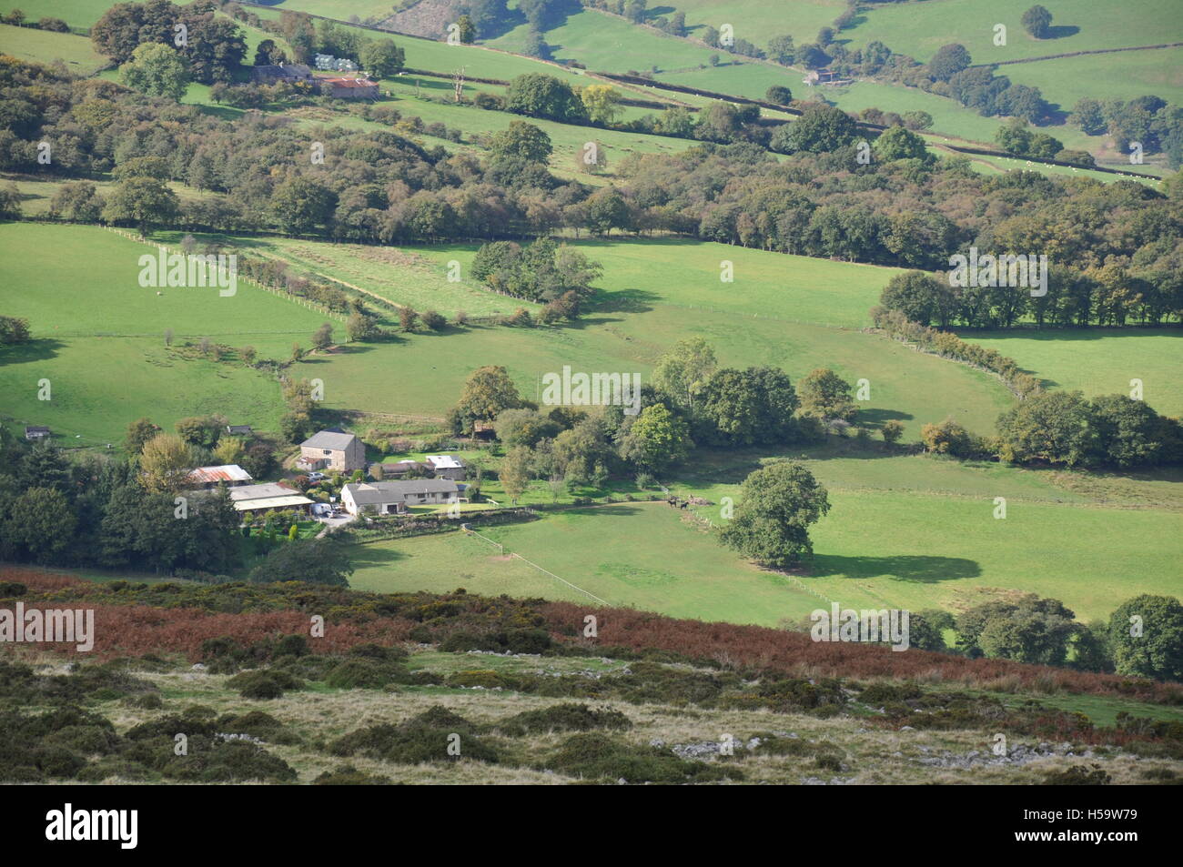 Farm in the Brecon Beacons Stock Photo Alamy