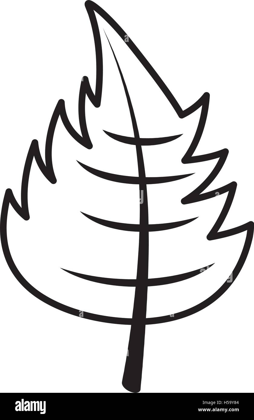 leaf autumn isolated icon Stock Vector Image & Art - Alamy