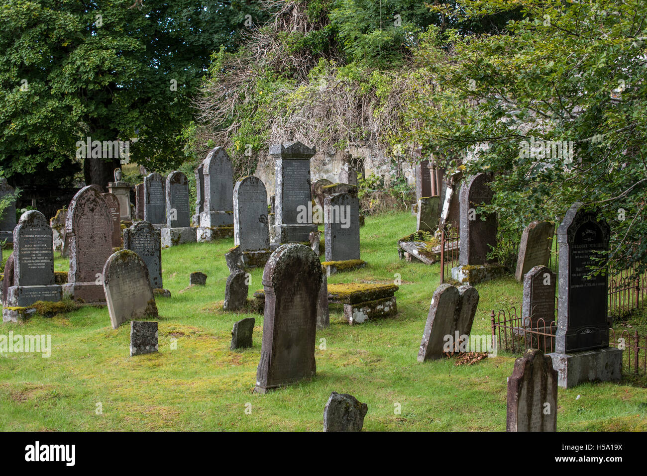 Weathered tombstones in the Lochcarron Old Cemetery, Wester Ross, Scotland Stock Photo