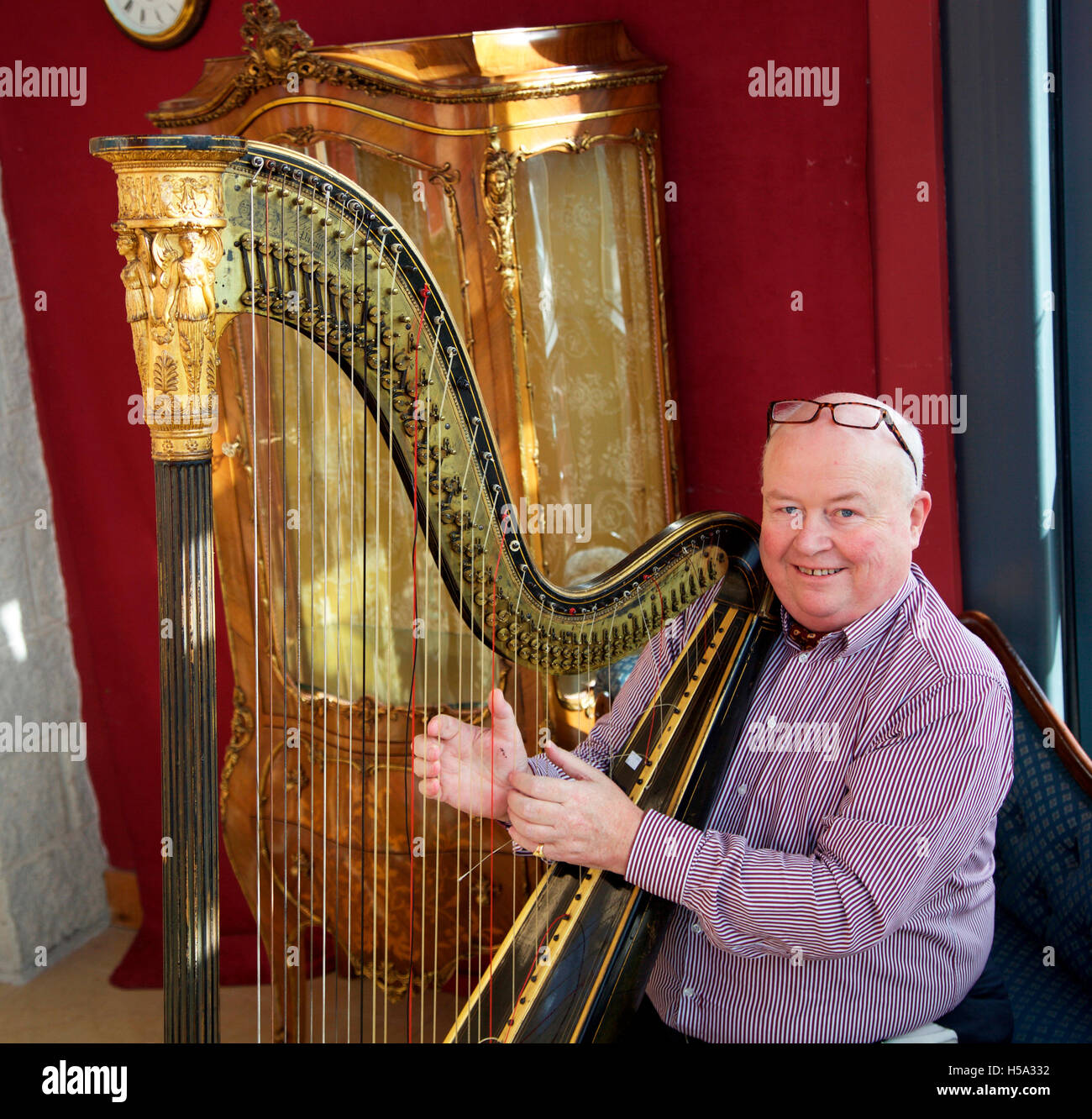 George Mealy, Irish auctioneer with Countess Markievicz Erard harp, Mealys, Castlecomer, Ireland Stock Photo