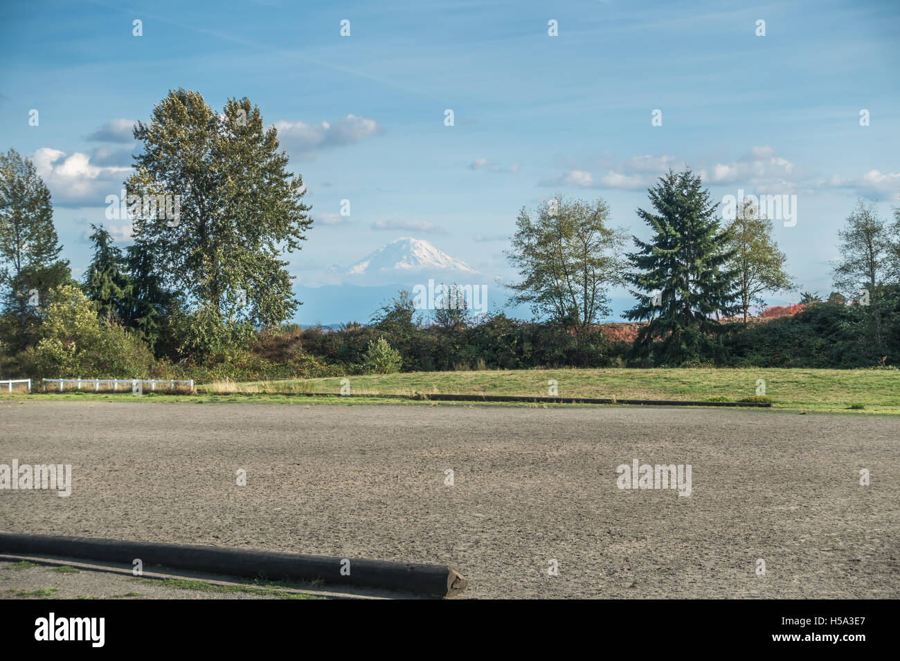 A view of Mount Rainier from Grandview Offleash Dog Park in Seatac