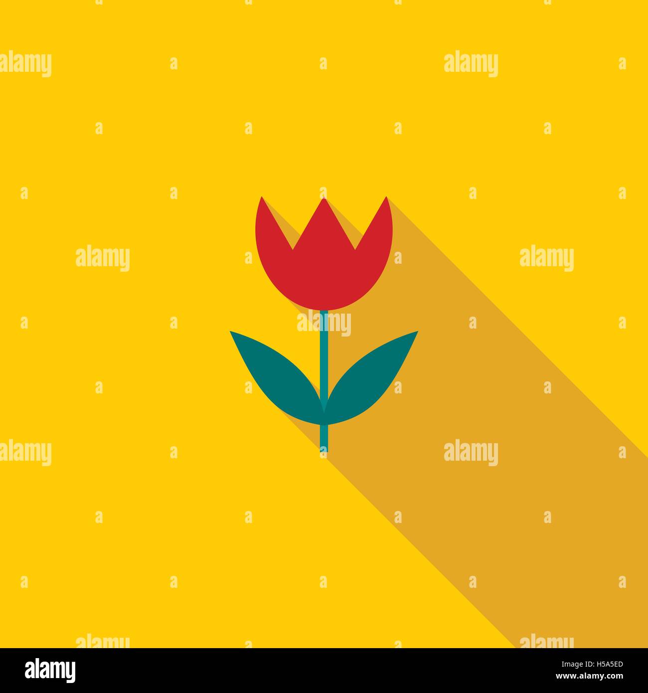 Cinematic mode hi-res stock photography and images - Alamy