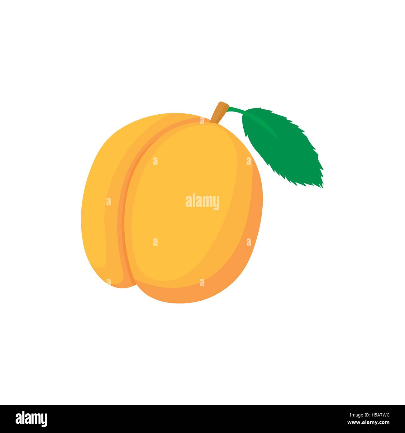Fresh apricot icon in cartoon style Stock Vector Image & Art - Alamy