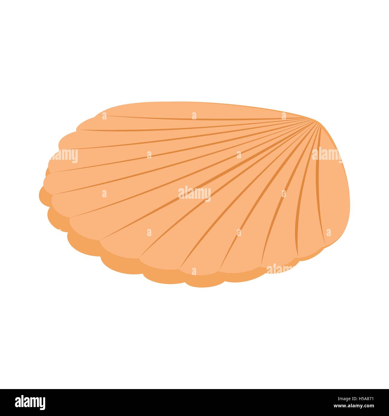 Shell isometric icon hi-res stock photography and images - Alamy
