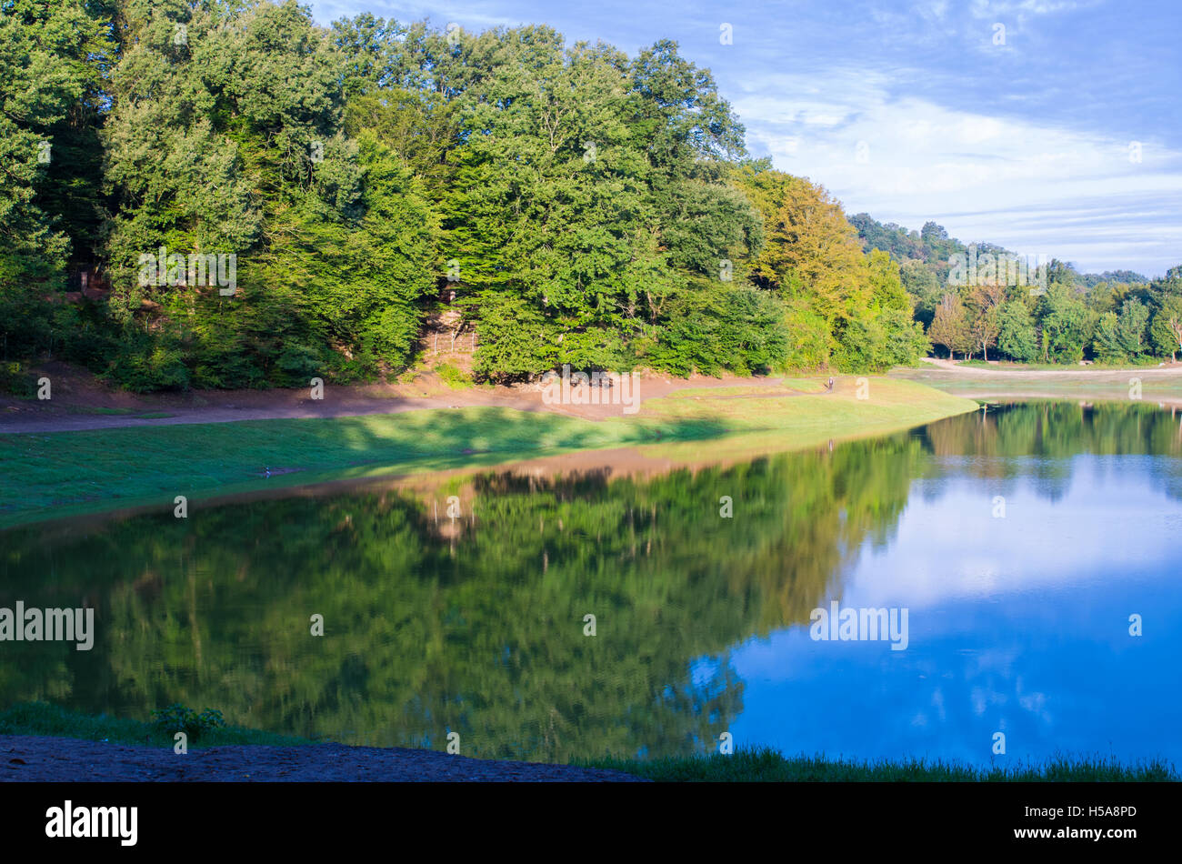 sunny day near lake Stock Photo Alamy