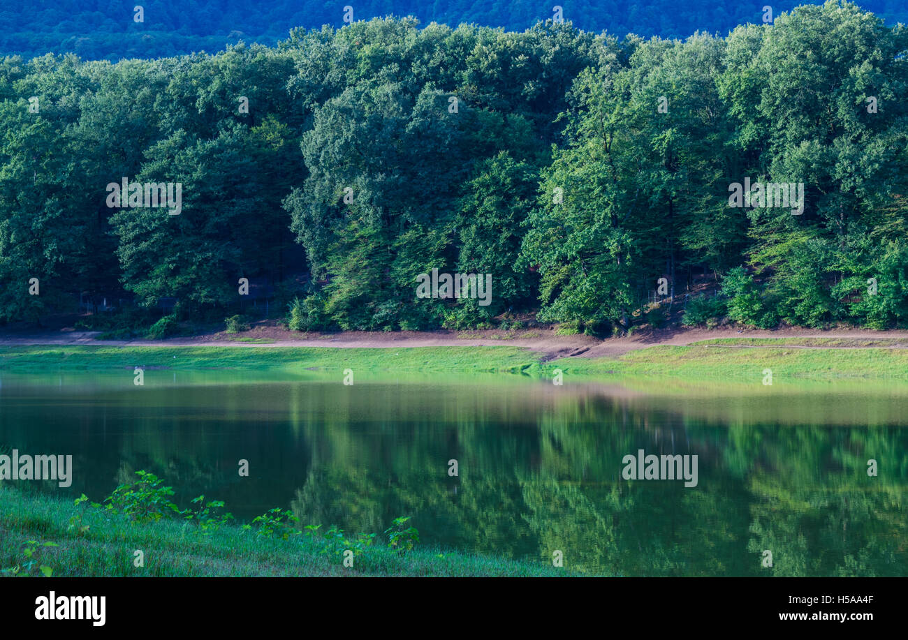Reflect reflection hi-res stock photography and images - Alamy