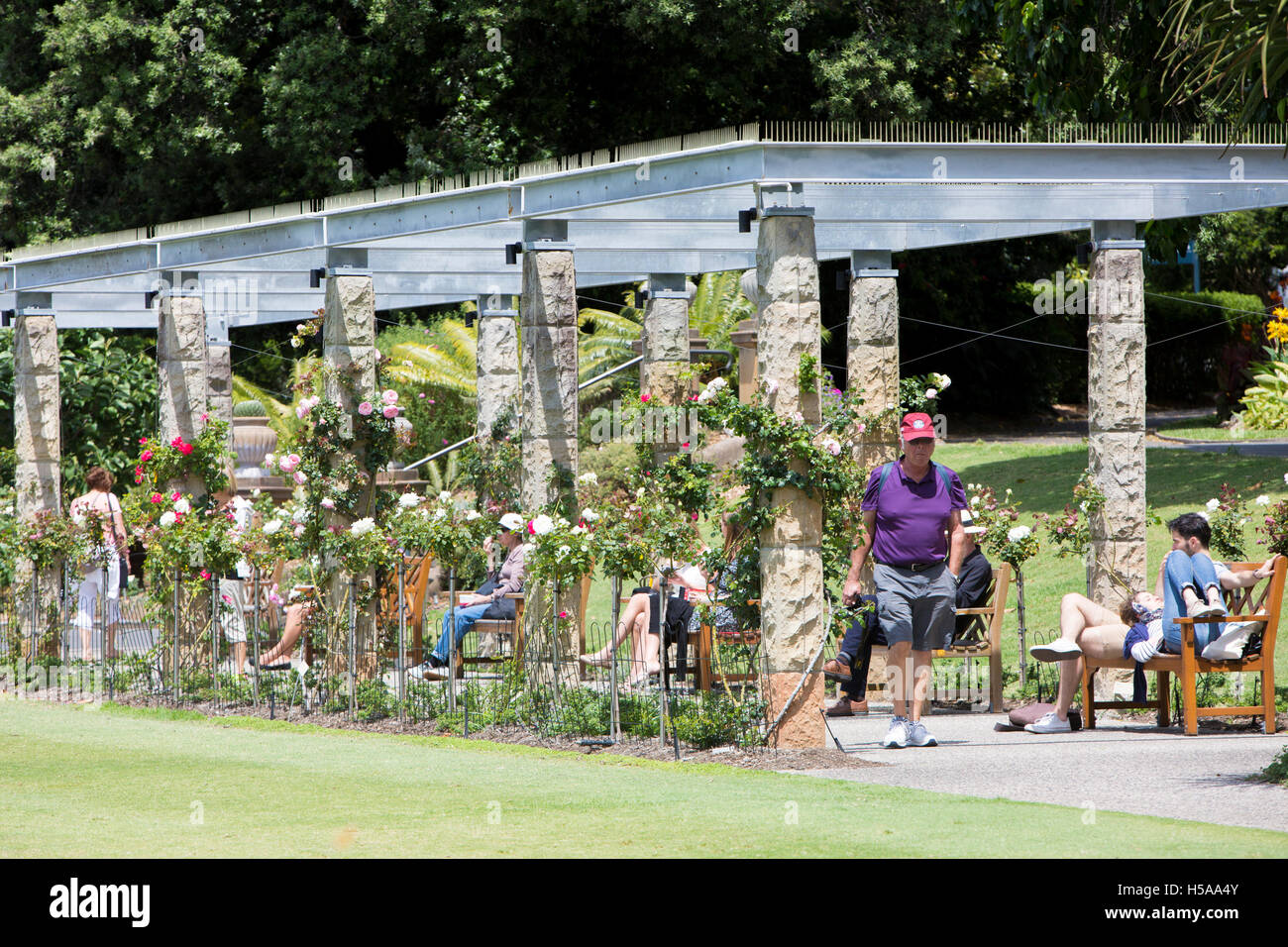 Sydney Royal Botanic Gardens and the Rose Garden, Sydney city centre