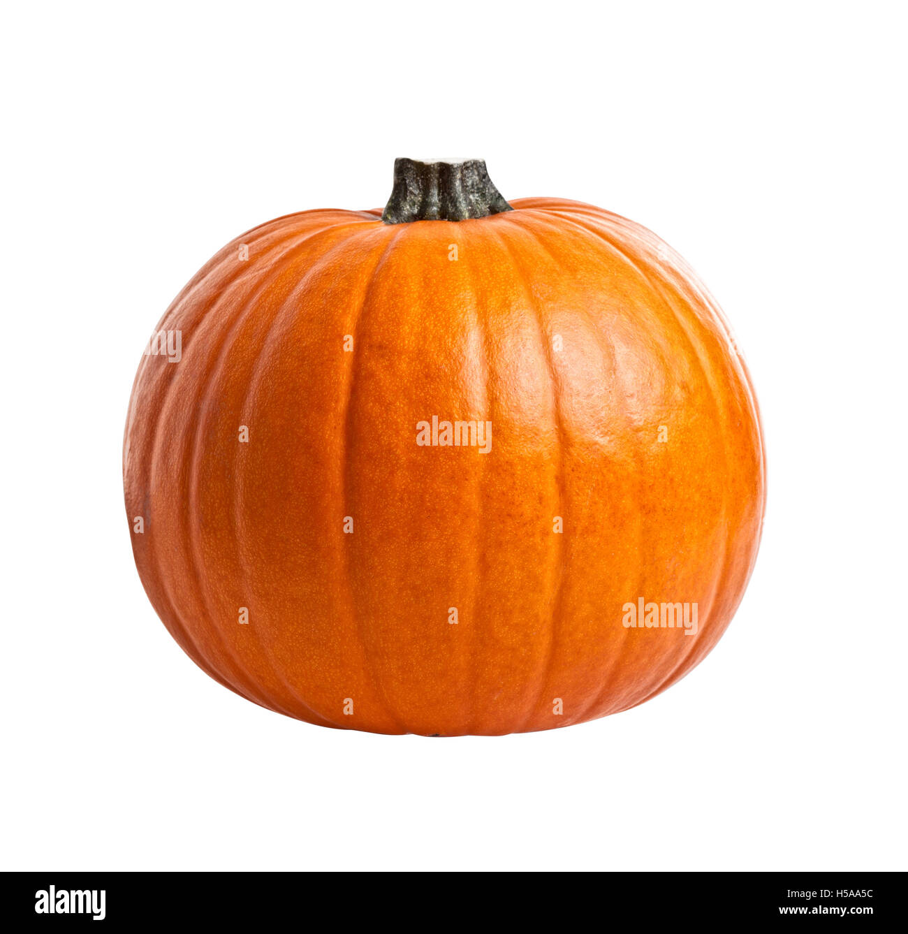 halloween pumpkin isolated on white Stock Photo - Alamy
