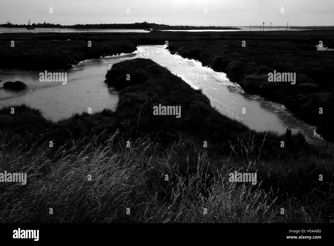 Blackwater estuary creek hires stock photography and images Alamy
